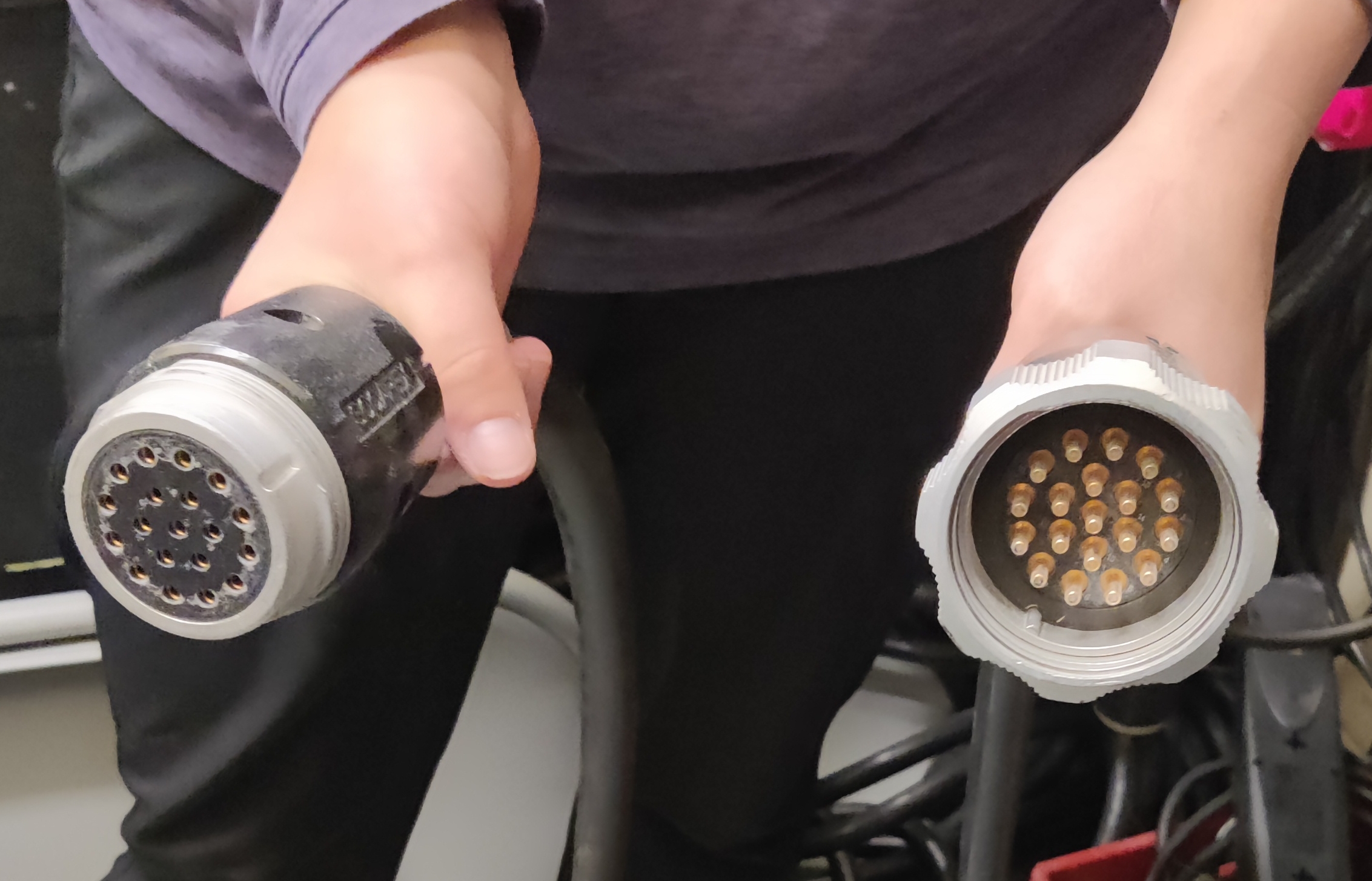 Alt text for the image